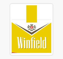 Winfield Gold(10 Packets x 20’s)